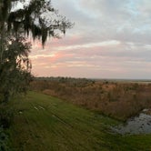 Review photo of Paynes Prairie Preserve State Park Campground by Annie C., January 1, 2020