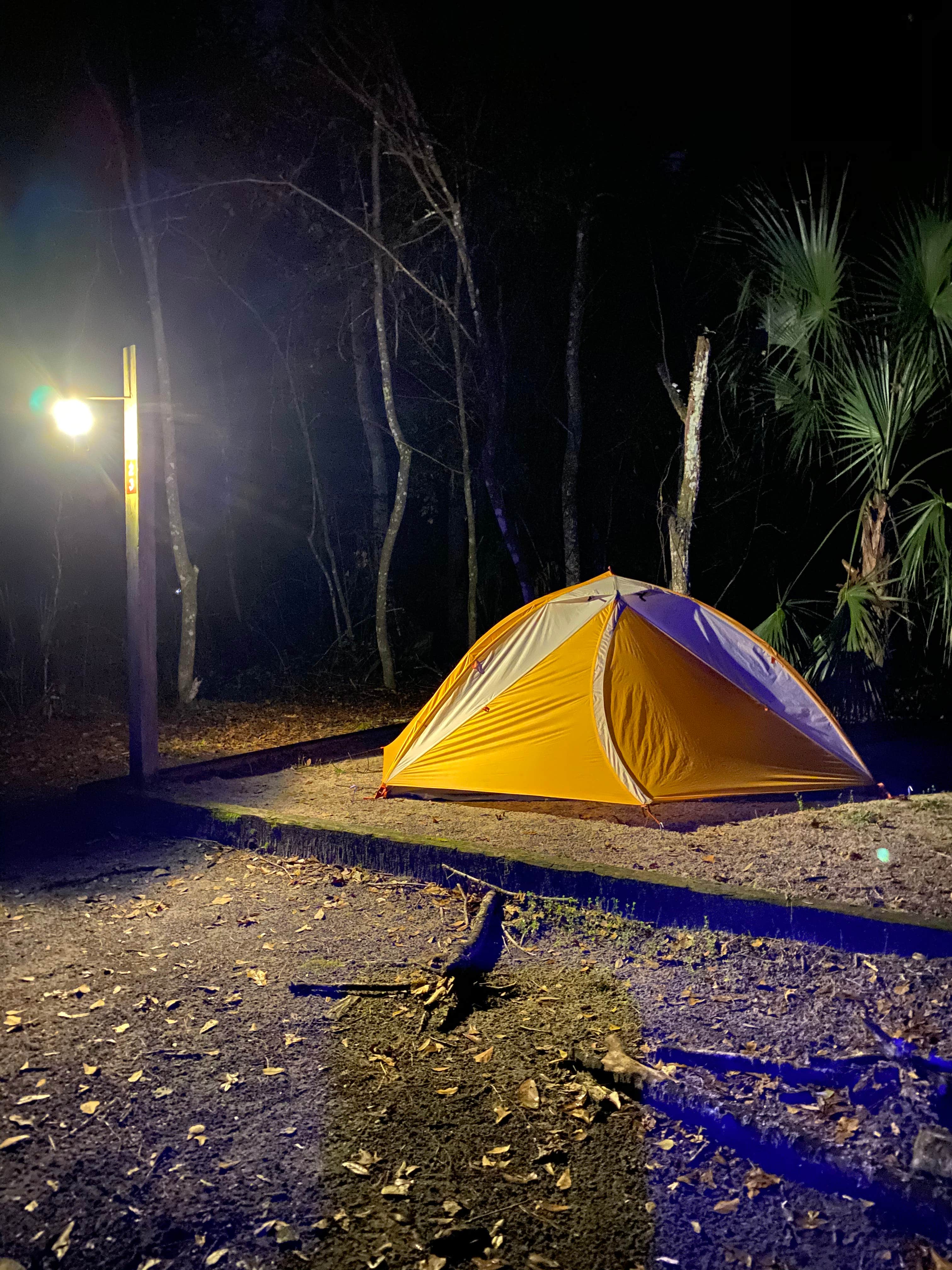 Annie C.'s photo at Paynes Prairie Preserve State Park Campground near Micanopy, FL