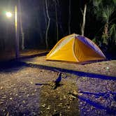 Review photo of Paynes Prairie Preserve State Park Campground by Annie C., January 1, 2020