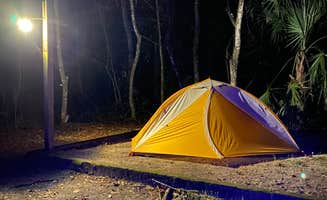 Annie C.'s photo at Paynes Prairie Preserve State Park Campground near Gainesville, FL