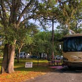 Review photo of Salt Springs Recreation Area by Travyl Couple !., January 1, 2020
