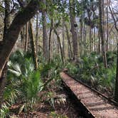 Review photo of Salt Springs Recreation Area by Travyl Couple !., January 1, 2020