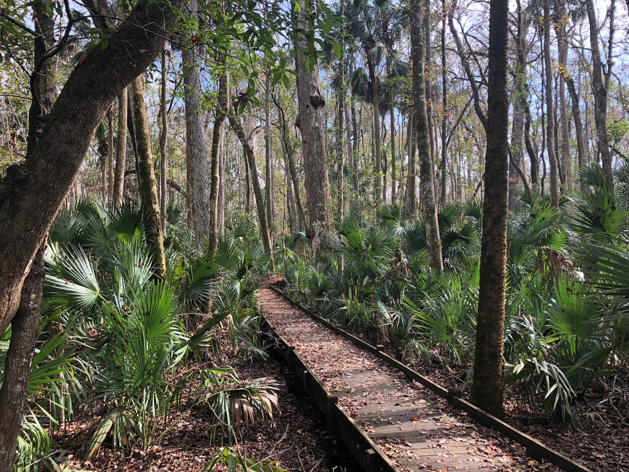Park trail