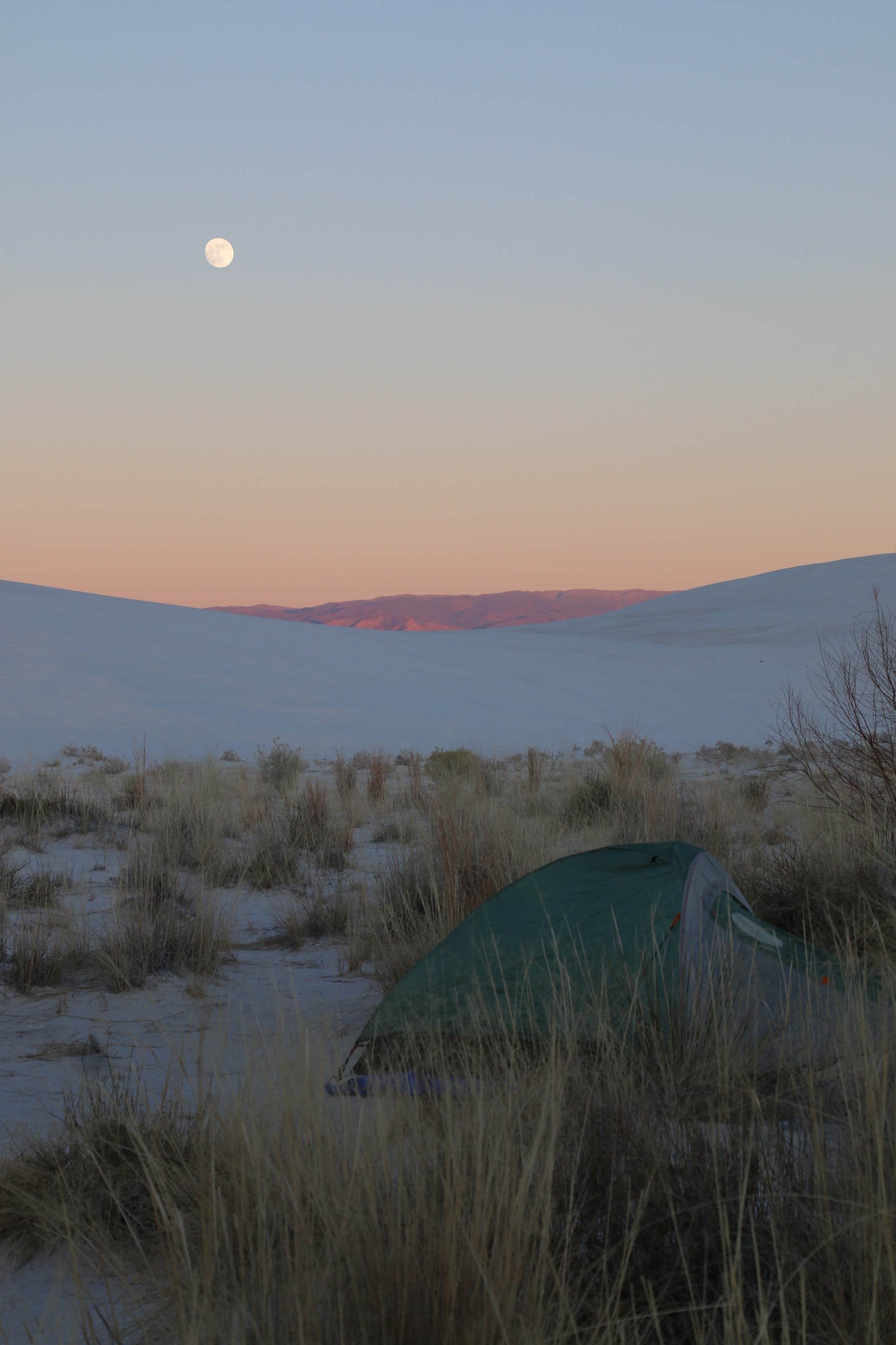 Jean C.'s photo of tent camping at Backcountry Primitive Sites — White Sands National Park near Weed, NM