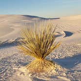 Review photo of Backcountry Primitive Sites — White Sands National Park by Jean C., January 1, 2020