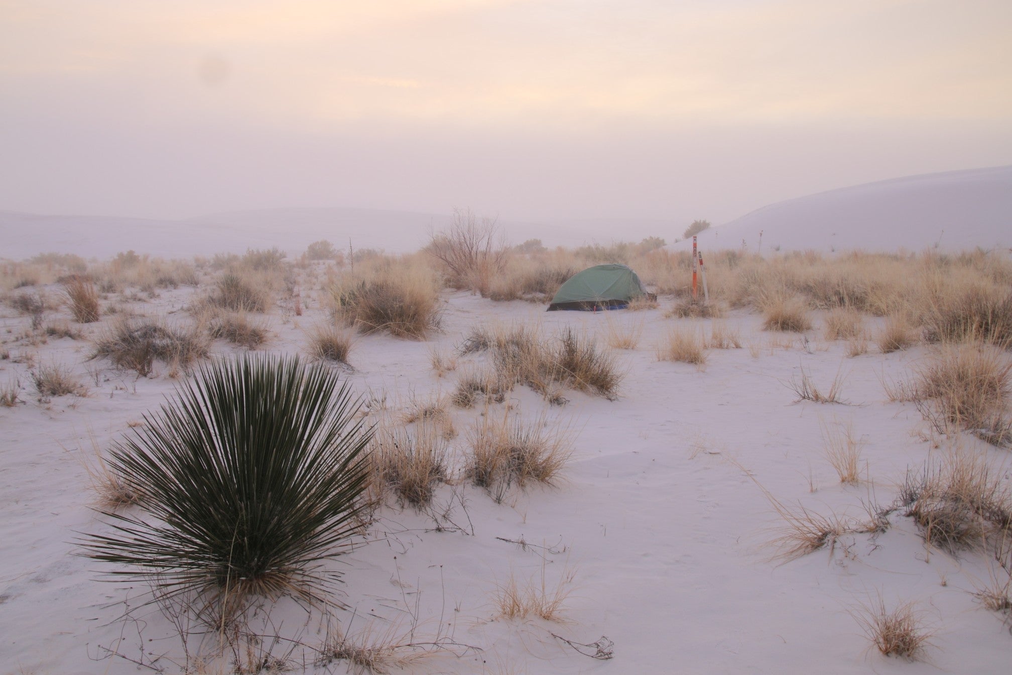 Camper submitted image from Backcountry Primitive Sites — White Sands National Park - 1