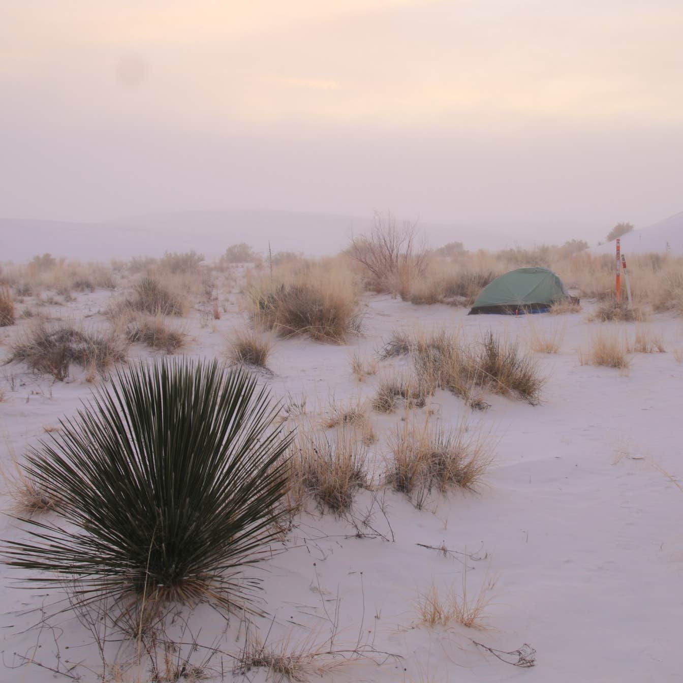 Backcountry Primitive Sites — White Sands National Park