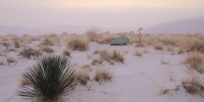 Camper submitted image from Backcountry Primitive Sites — White Sands National Park