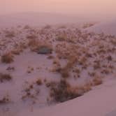 Review photo of Backcountry Primitive Sites — White Sands National Park by Jean C., January 1, 2020