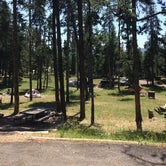 Review photo of Norris Campground — Yellowstone National Park by Corinna B., November 1, 2017