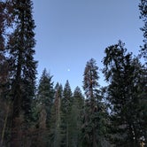 Review photo of Lodgepole Campground — Sequoia National Park by Trish F., August 26, 2017