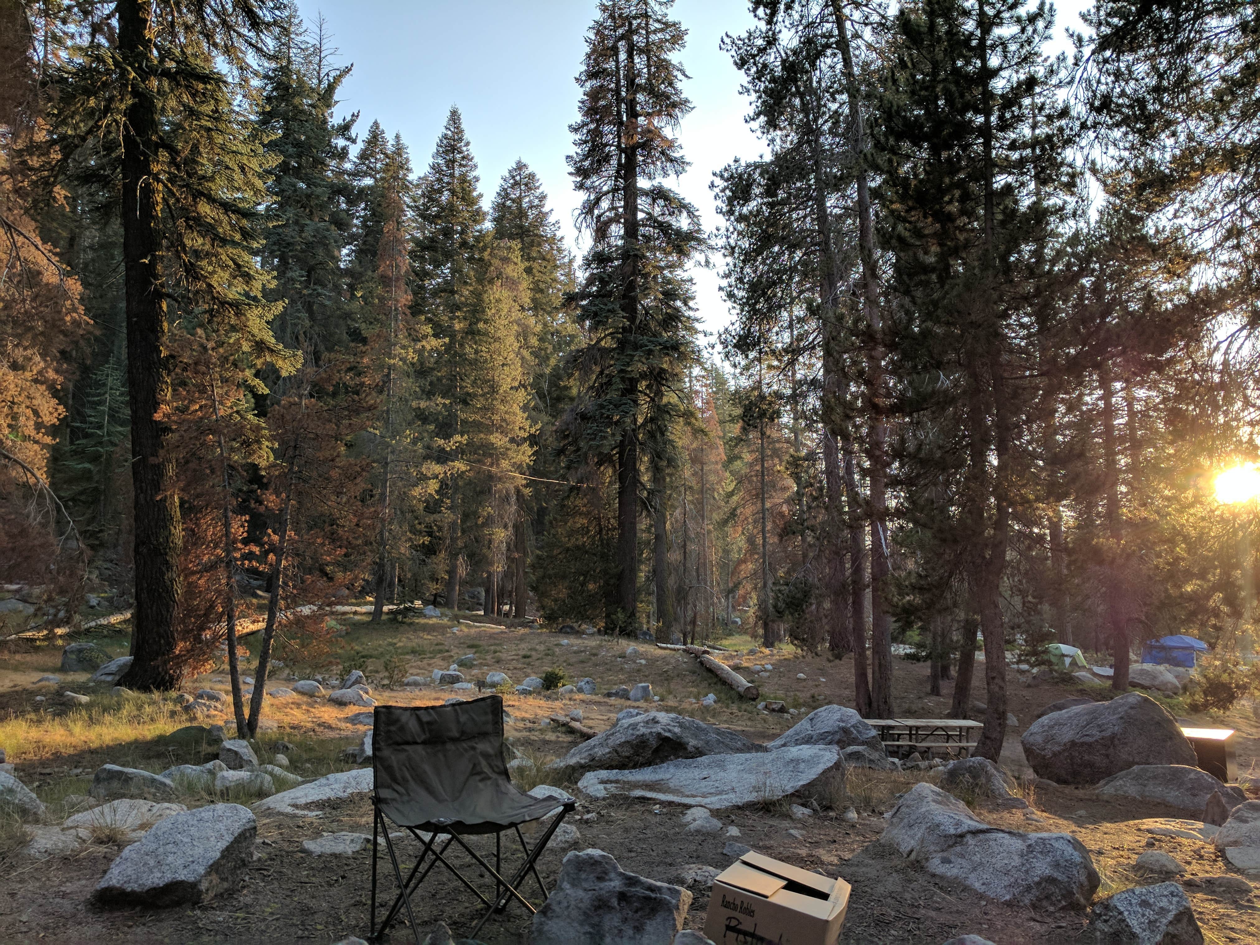 Lodgepole Campground — Sequoia National Park Three rivers, CA