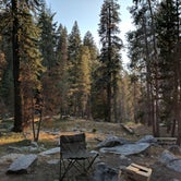 Review photo of Lodgepole Campground — Sequoia National Park by Trish F., August 26, 2017