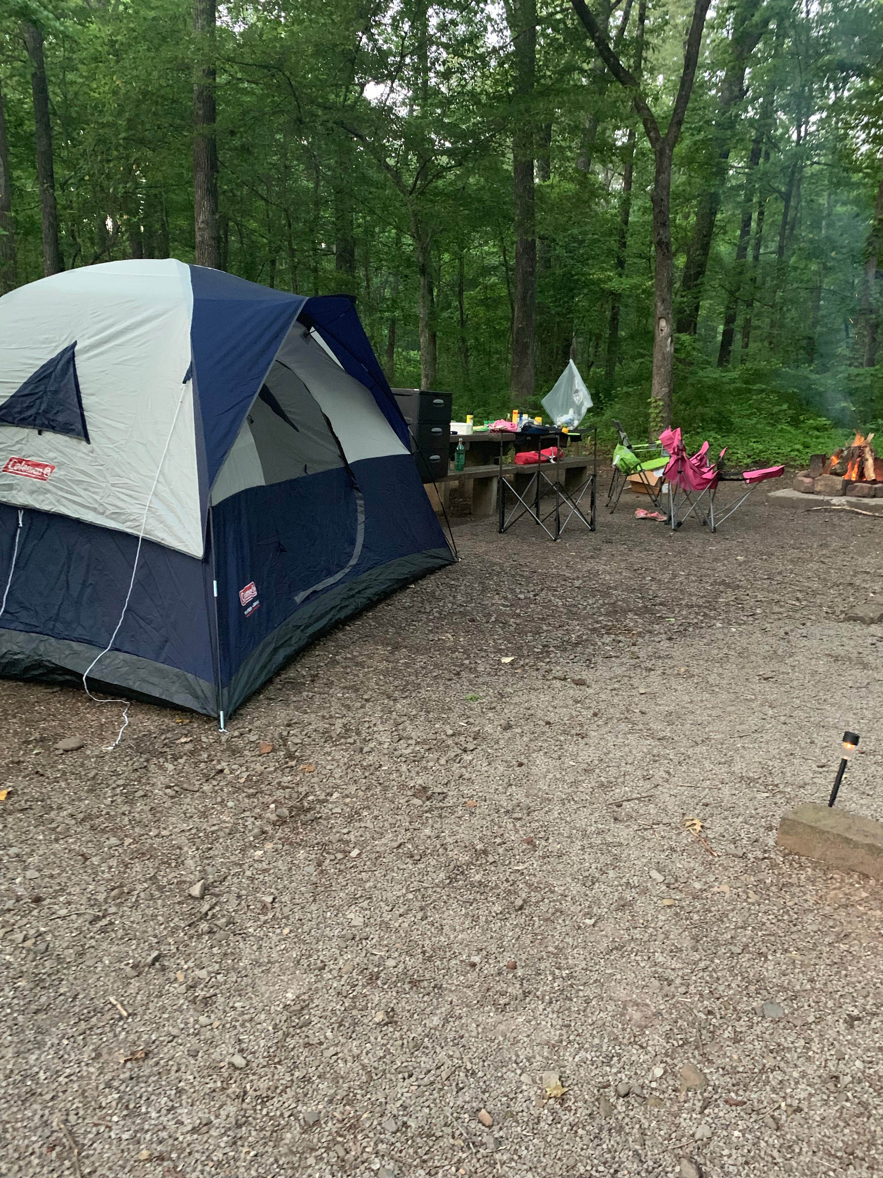 Suzsan M.'s photo at Redding Campground near Alix, AR