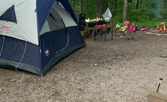 Suzsan M.'s photo at Redding Campground near Ozone, AR