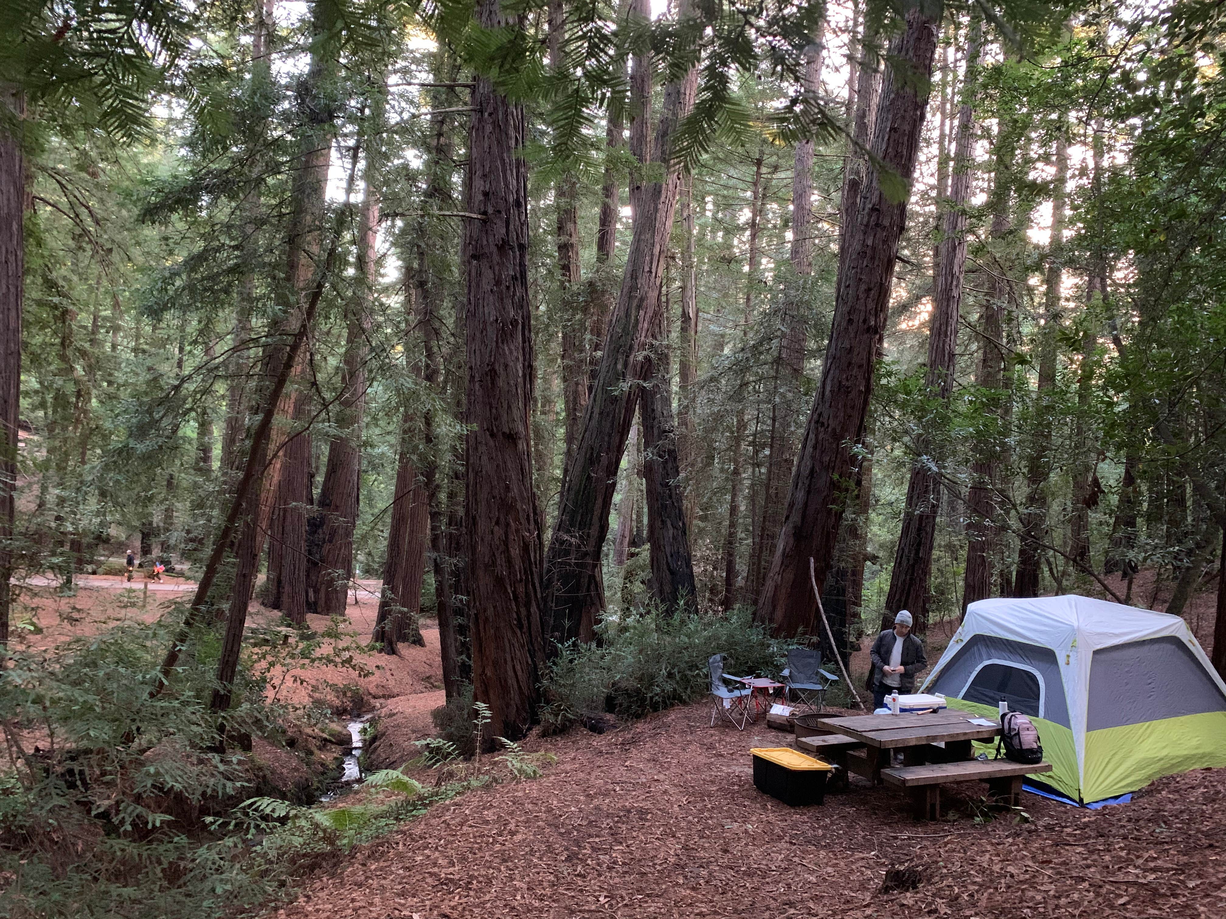 Alex T.'s photo at Ventana Campground near Big Sur, CA