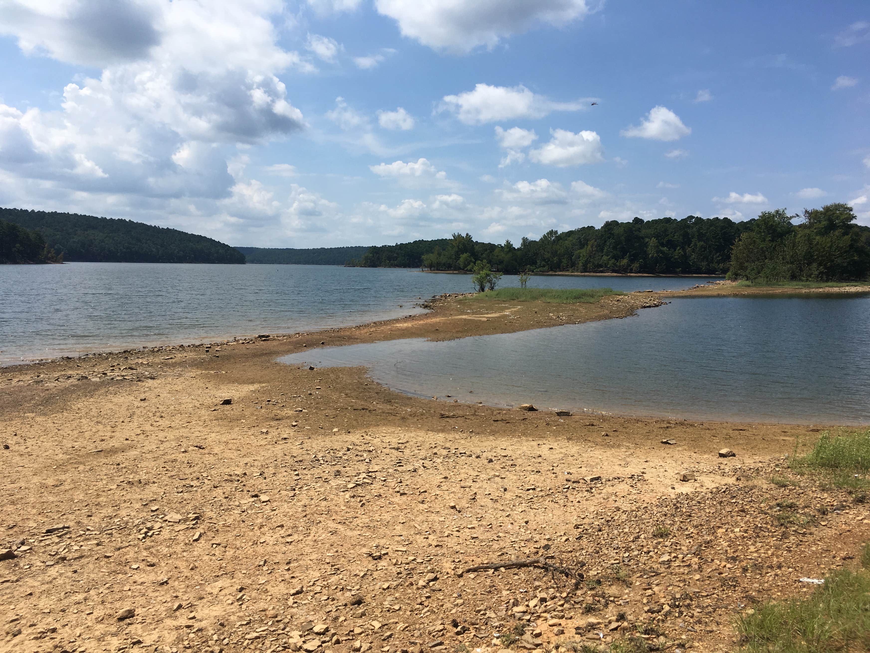 Greeson Lake COE/Laurel Creek The Dyrt