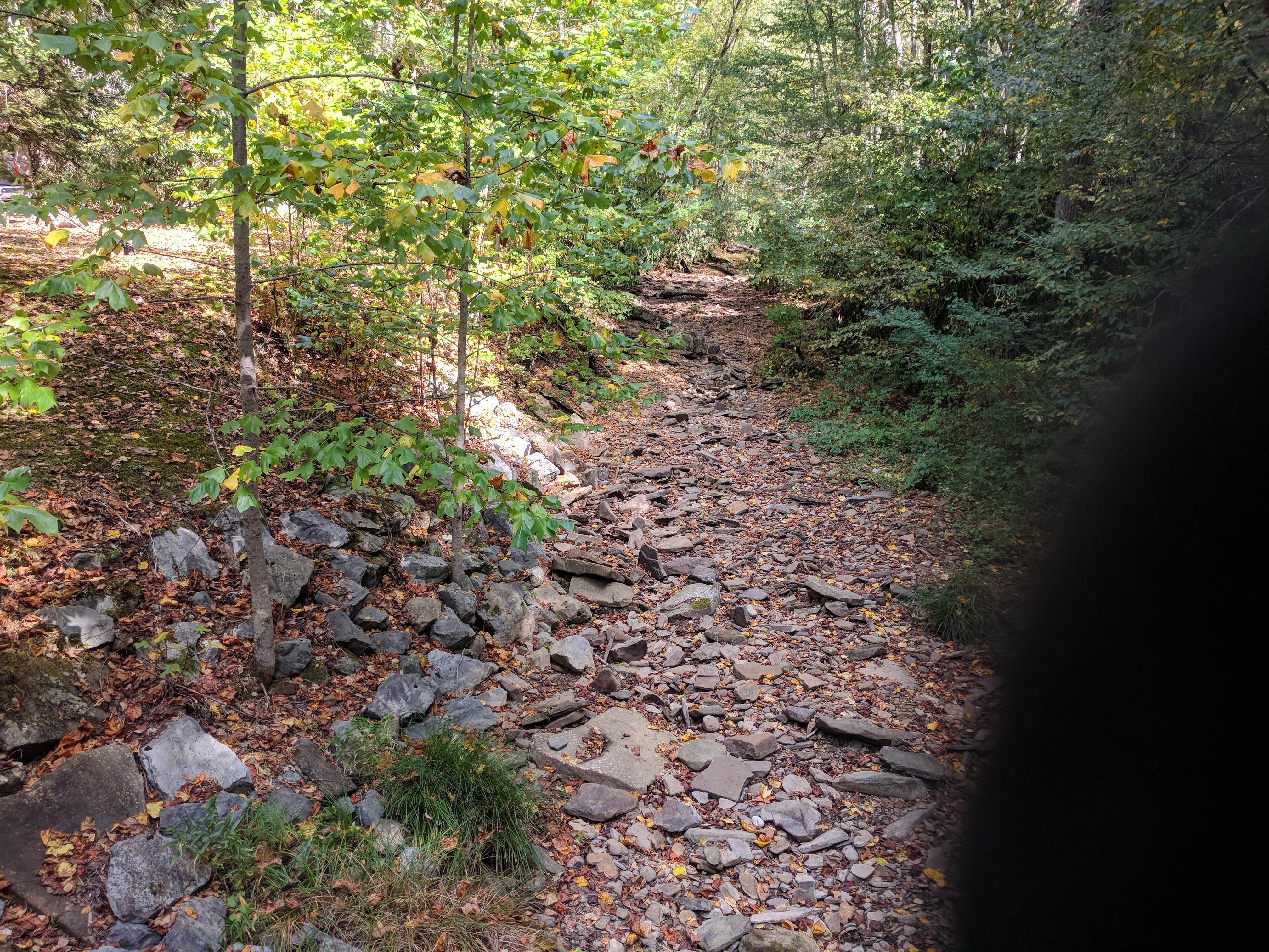 Camper submitted image from Riverside Campground — Watoga State Park - 4