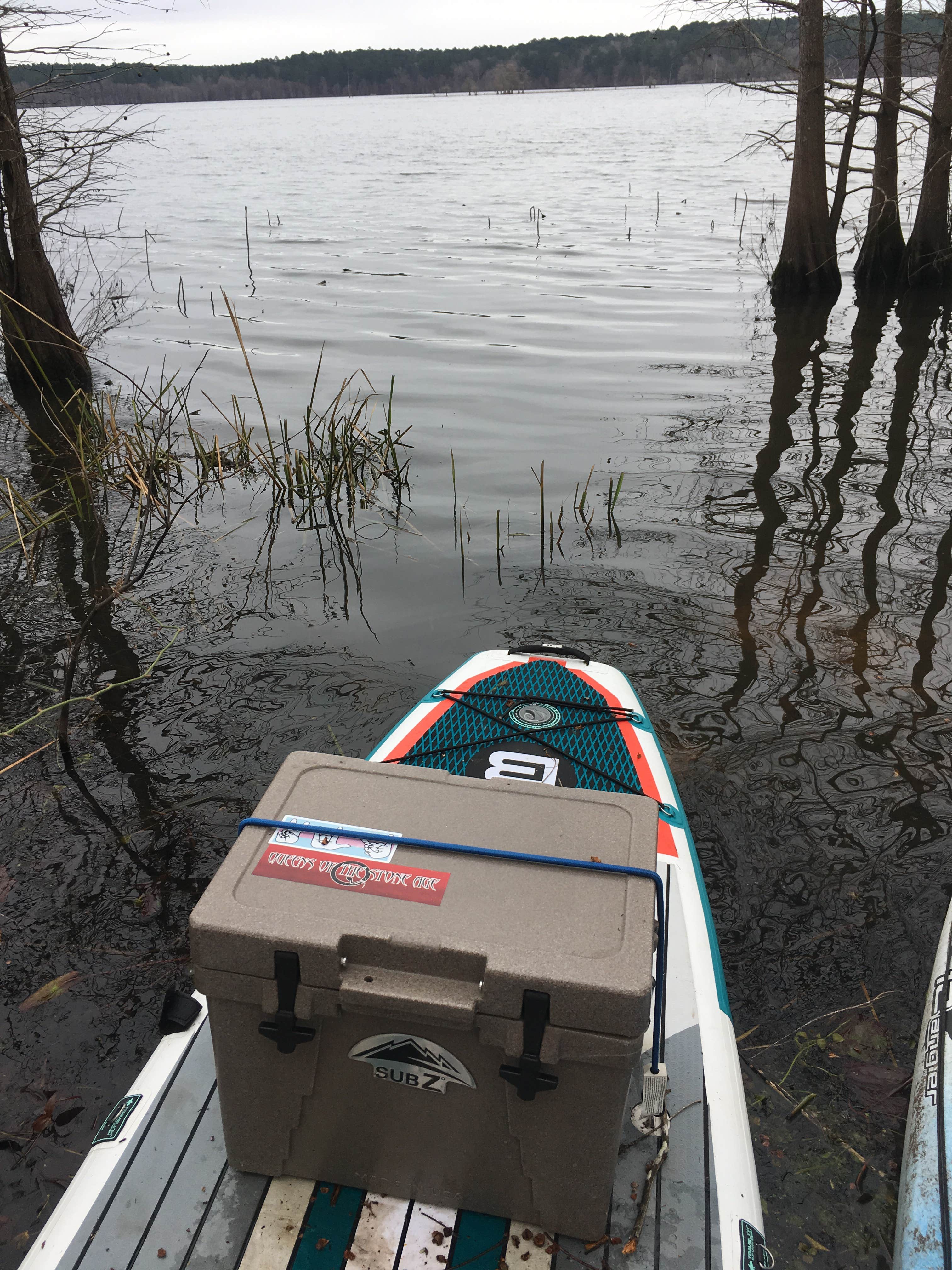 Camper-submitted photo at Corney Lake South Shore Campground near Bernice, LA