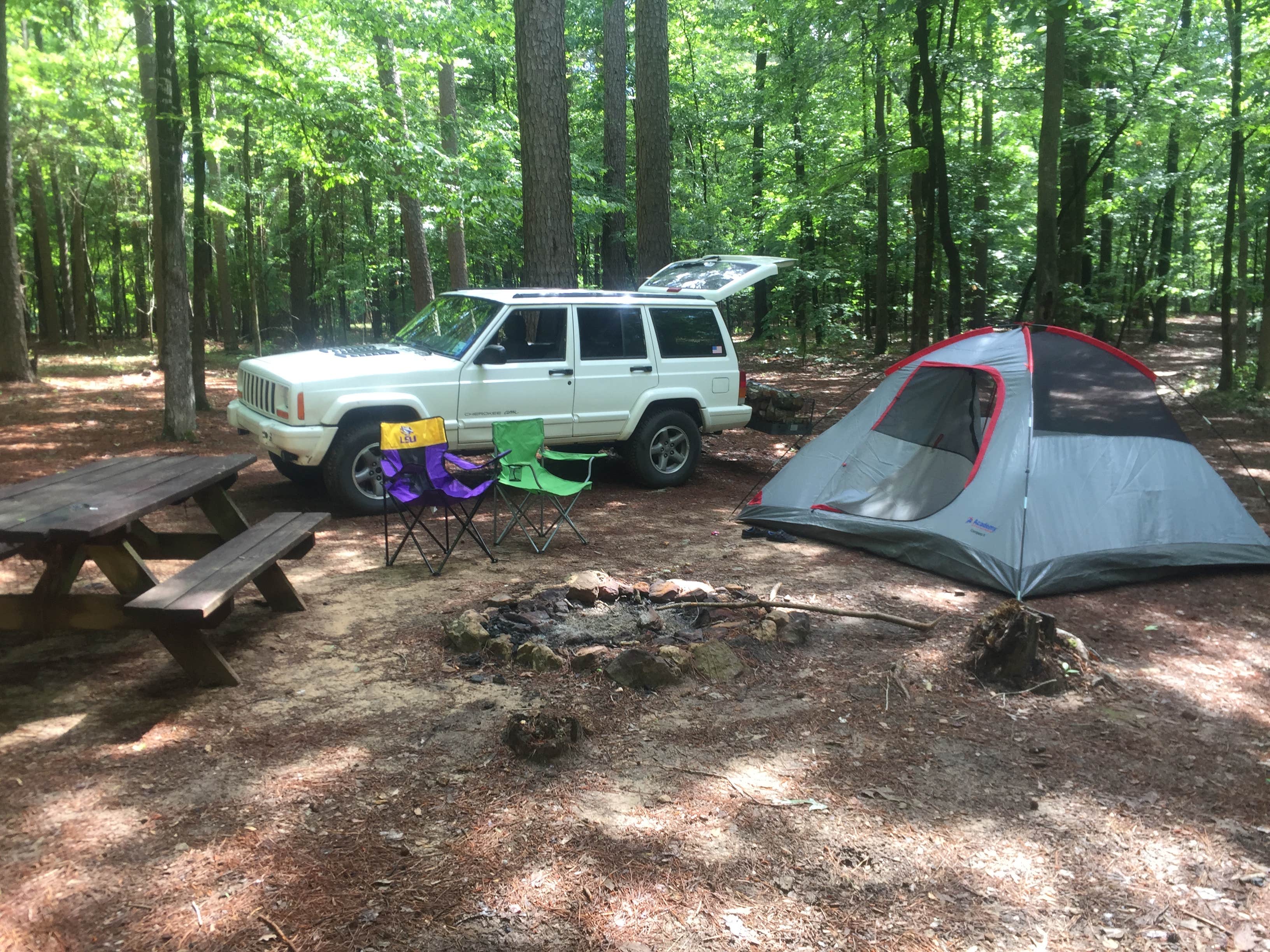 Camper submitted image from Lincoln Parish Park - 3