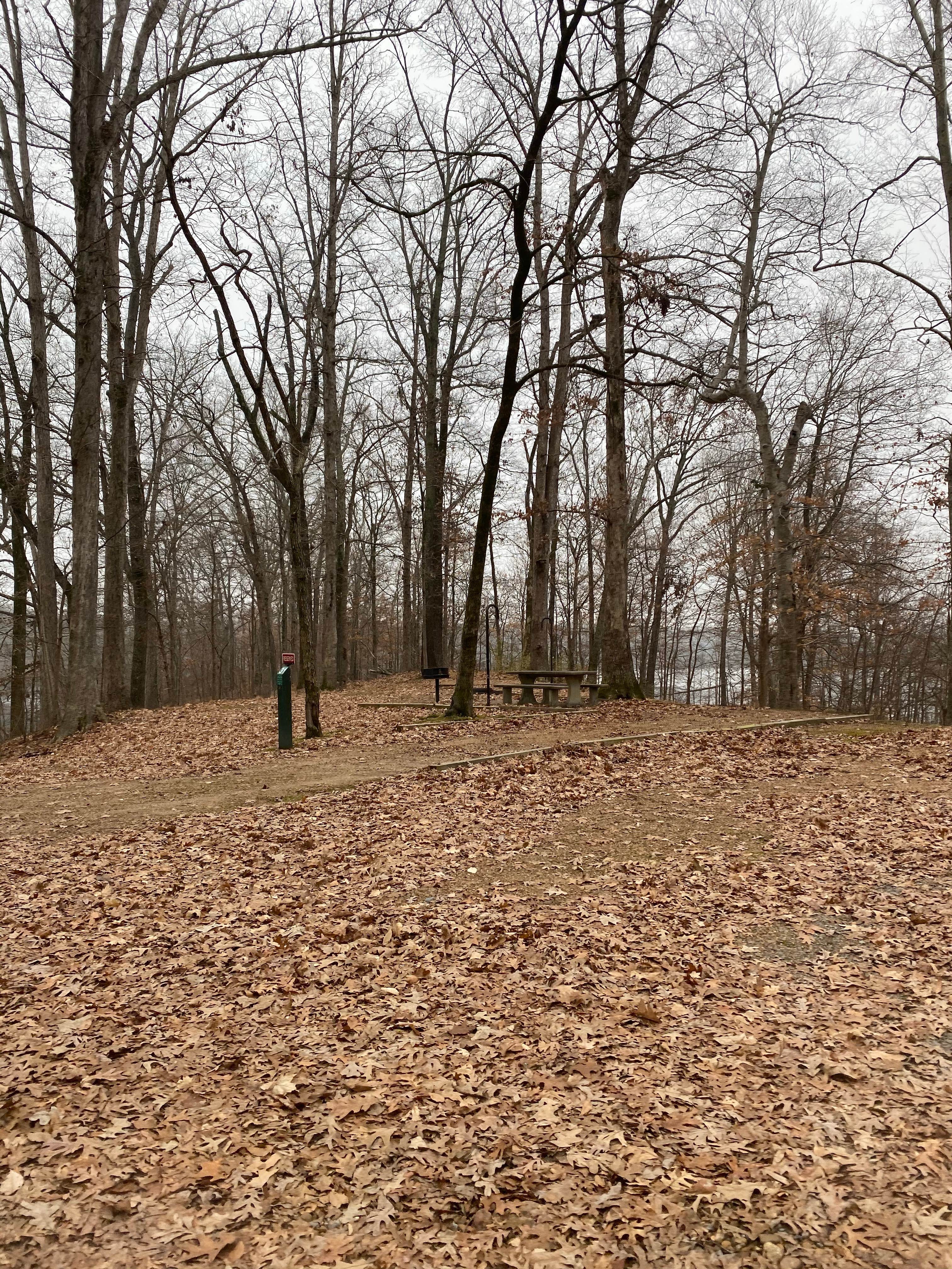 Camper-submitted photo at Lone Pine Campground near Lexa, AR