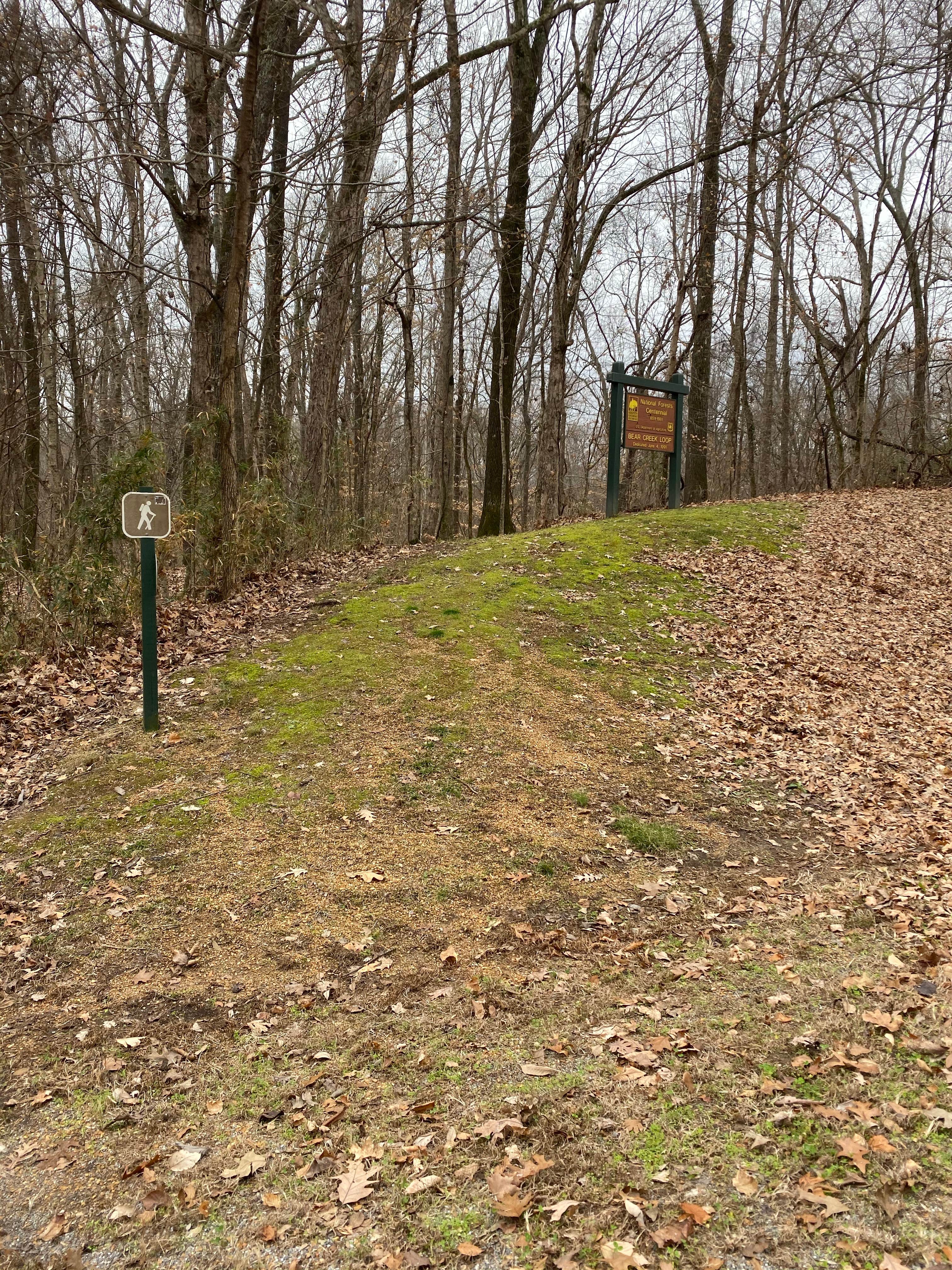 Camper-submitted photo at Lone Pine Campground near Lexa, AR