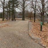 Review photo of Mississippi River State Park Campground by Shana D., January 3, 2020