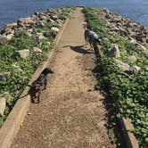 Review photo of Gilbertsville Ramp - DFWR by Shelly S., August 26, 2017