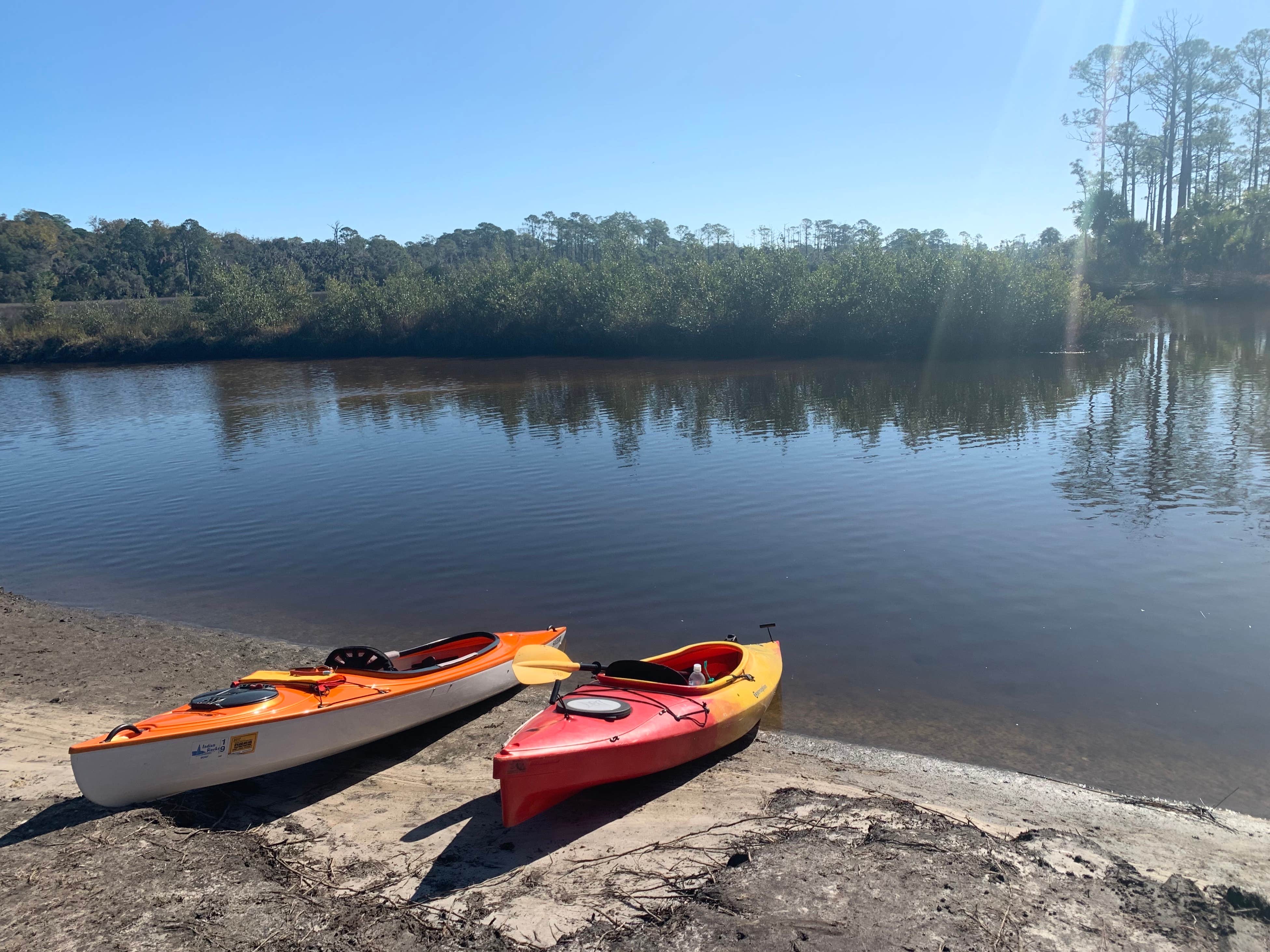 Camper submitted image from Princess Place Preserve - 3