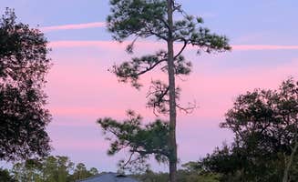 Aida K.'s photo of tent camping at Princess Place Preserve near Cassadaga, FL