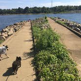 Review photo of Gilbertsville Ramp - DFWR by Shelly S., August 26, 2017