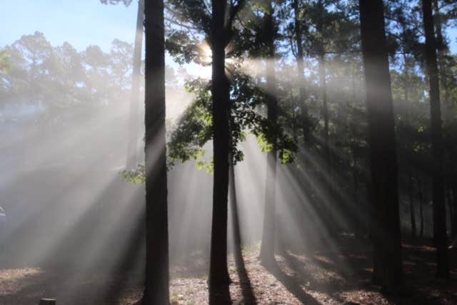 Camper submitted image from Heavener Runestone Park - 1