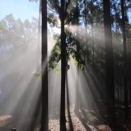 Heavener Runestone Park