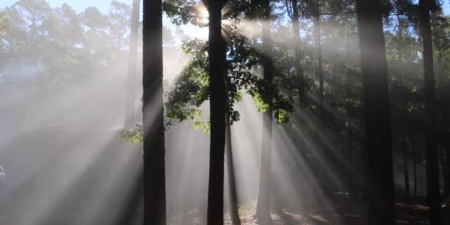 Camper submitted image from Heavener Runestone Park