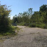 Review photo of Gilbertsville Ramp - DFWR by Shelly S., August 26, 2017