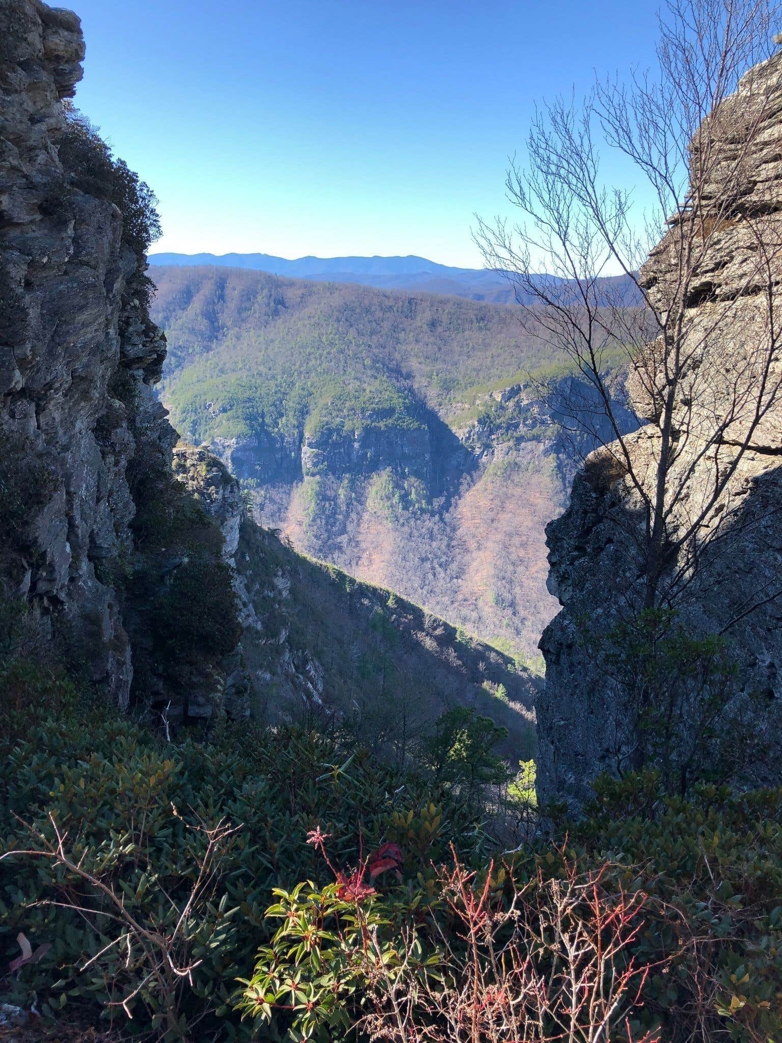Camper-submitted photo at Table Rock Campsites (Linville Gorge Wilderness) near Jonas Ridge, NC