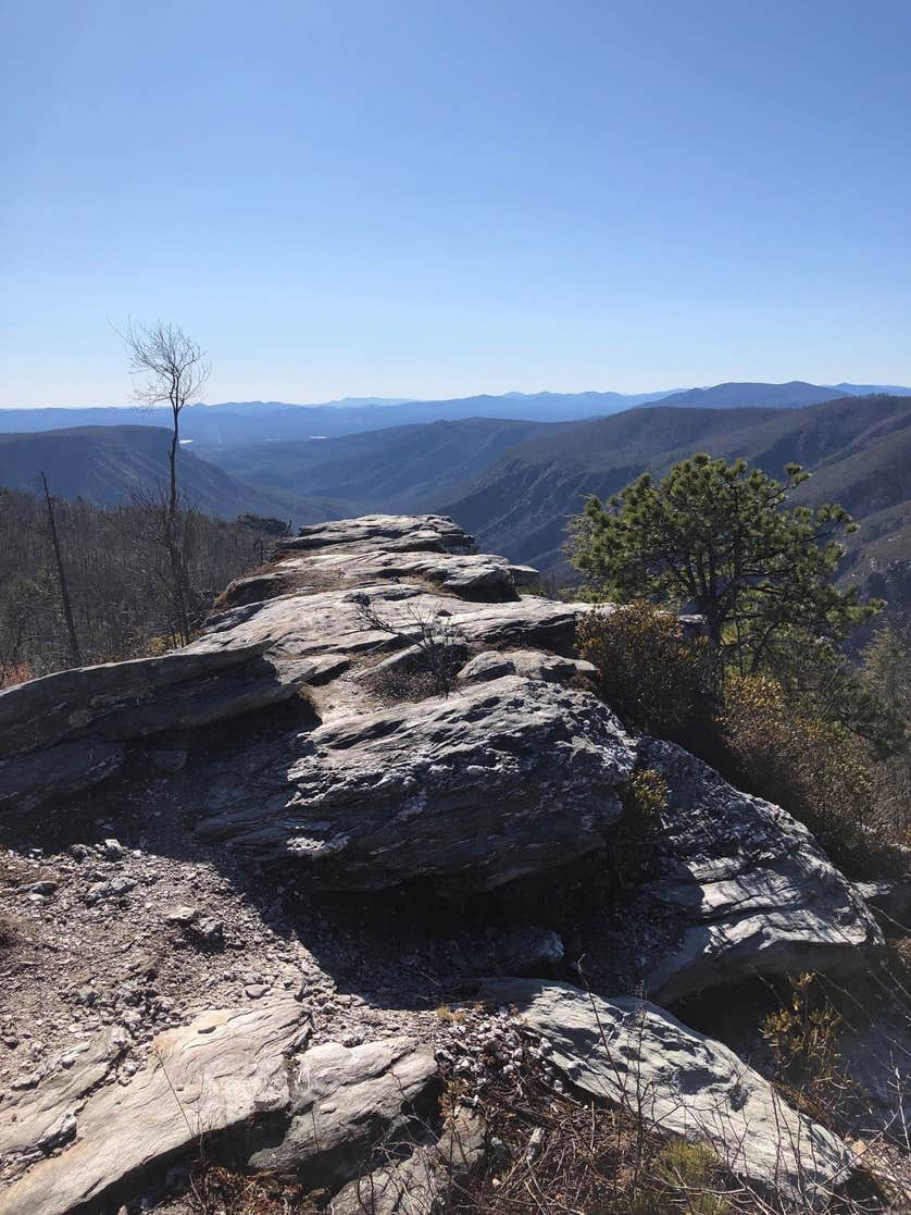 Table Rock Campsites (Linville Gorge Wilderness) | The Dyrt