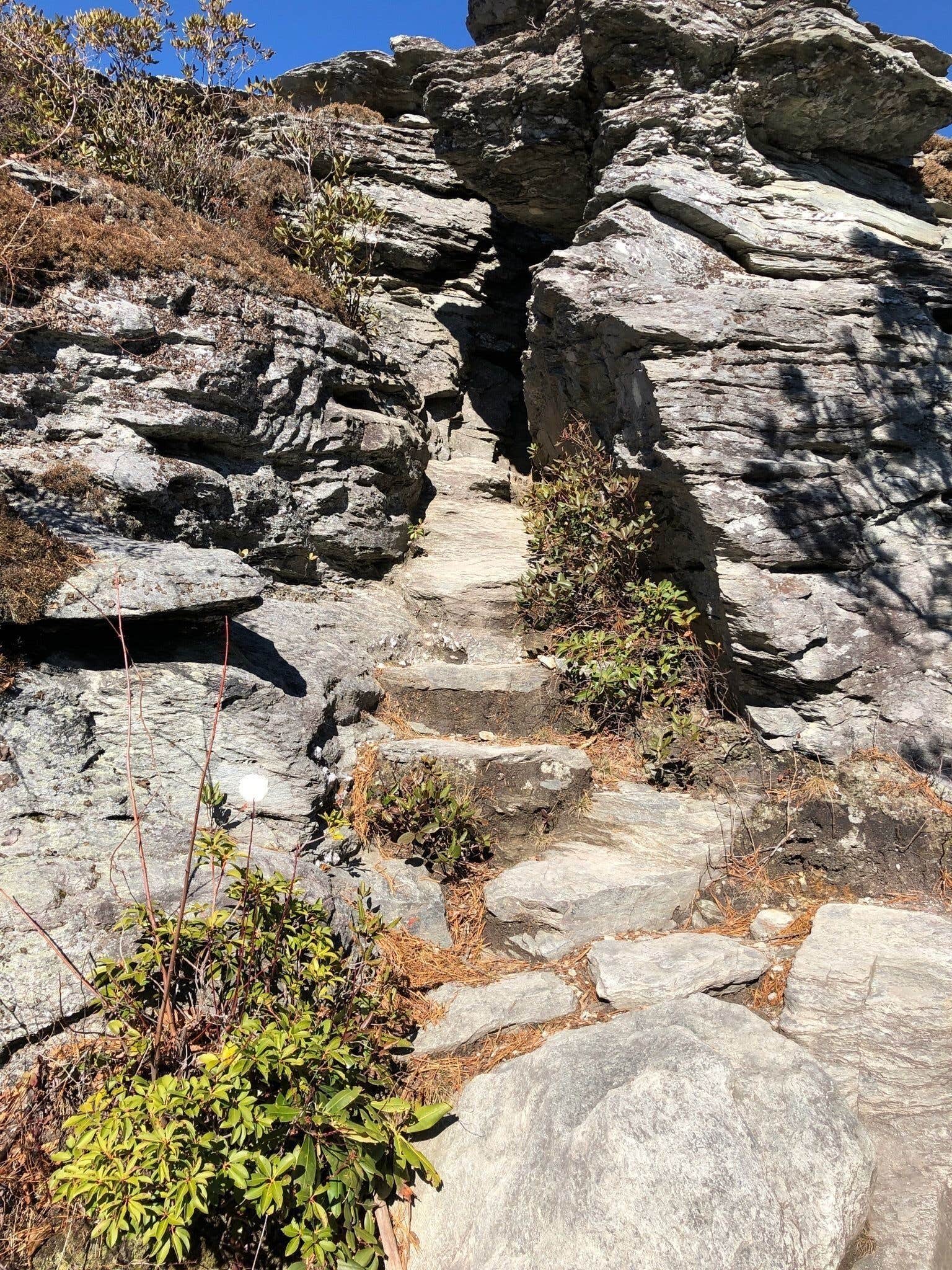 Camper-submitted photo at Table Rock Campsites (Linville Gorge Wilderness) near Jonas Ridge, NC