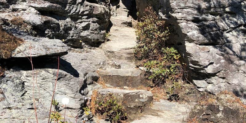 Camper submitted image from Table Rock Campsites (Linville Gorge Wilderness)