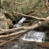 Review photo of Jones Gap State Park Campground by Kevin G., December 24, 2019