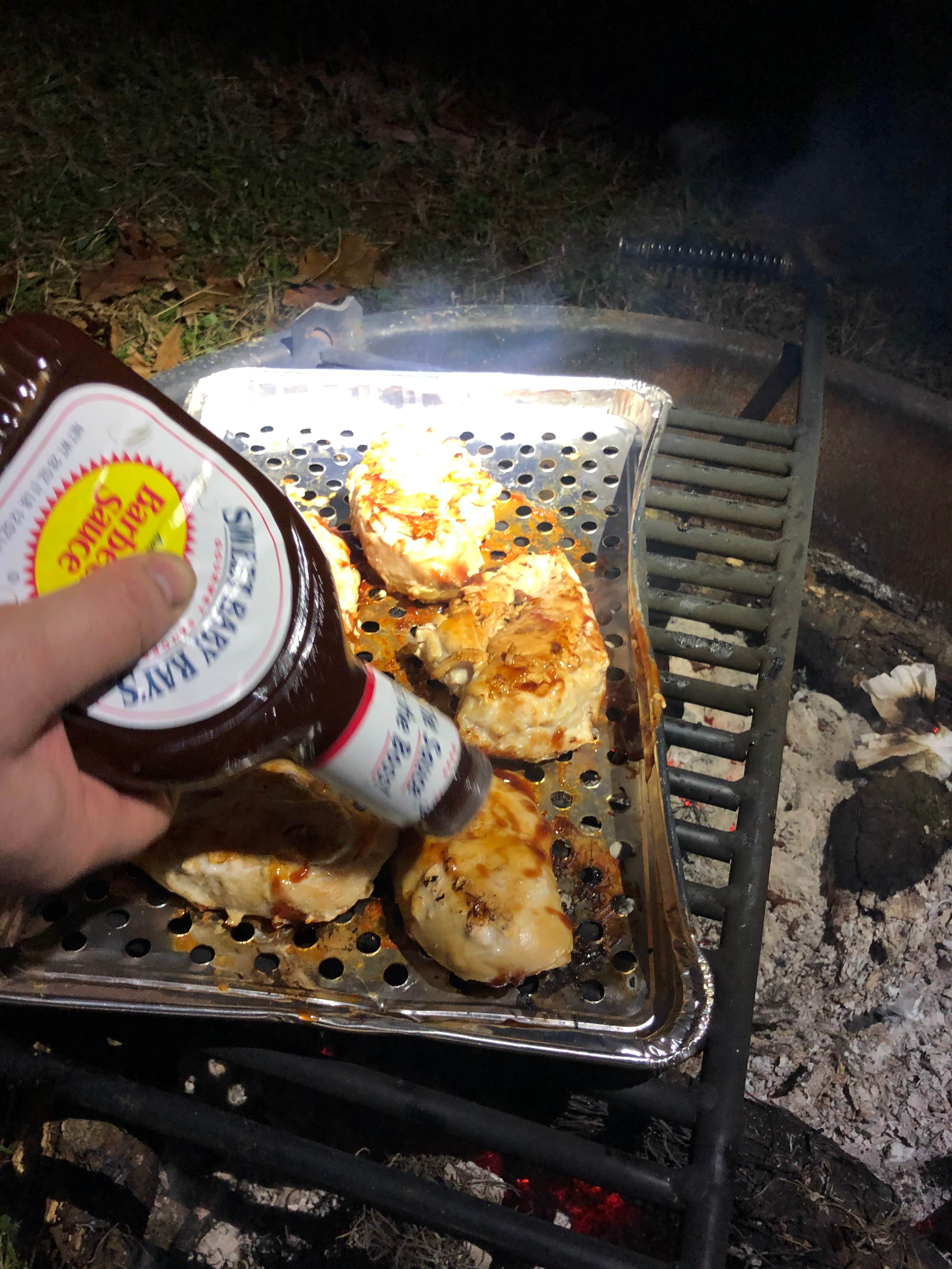 Camper-submitted photo at Decatur / Wheeler Lake KOA Holiday near Danville, AL