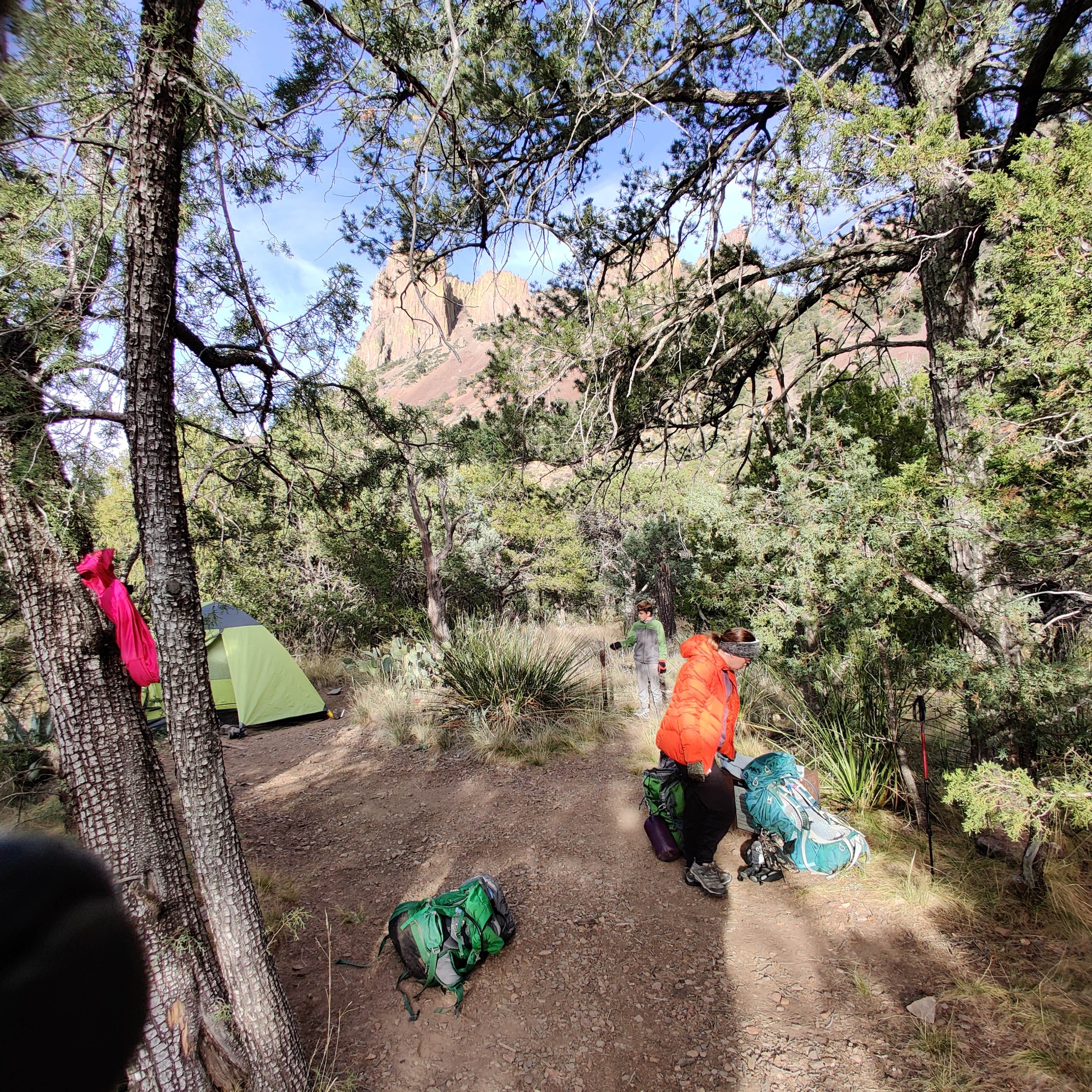 Camper submitted image from Boulder Meadow #4 - Big Bend National Park — Big Bend National Park - 1