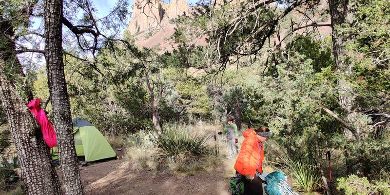 Camper submitted image from Boulder Meadow #4 - Big Bend National Park — Big Bend National Park