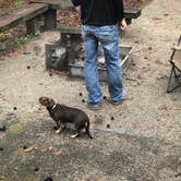 Review photo of Village Creek State Park Campground by Holly C., January 4, 2020