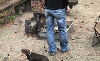 Holly C.'s photo of camping with pets at Village Creek State Park Campground near West Memphis, AR