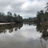 Review photo of Village Creek State Park Campground by Holly C., January 4, 2020