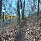 Review photo of Heavener Runestone Park by Steven  S., December 29, 2019