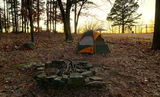 Steven S.'s photo at Heavener Runestone Park near Waldron, AR