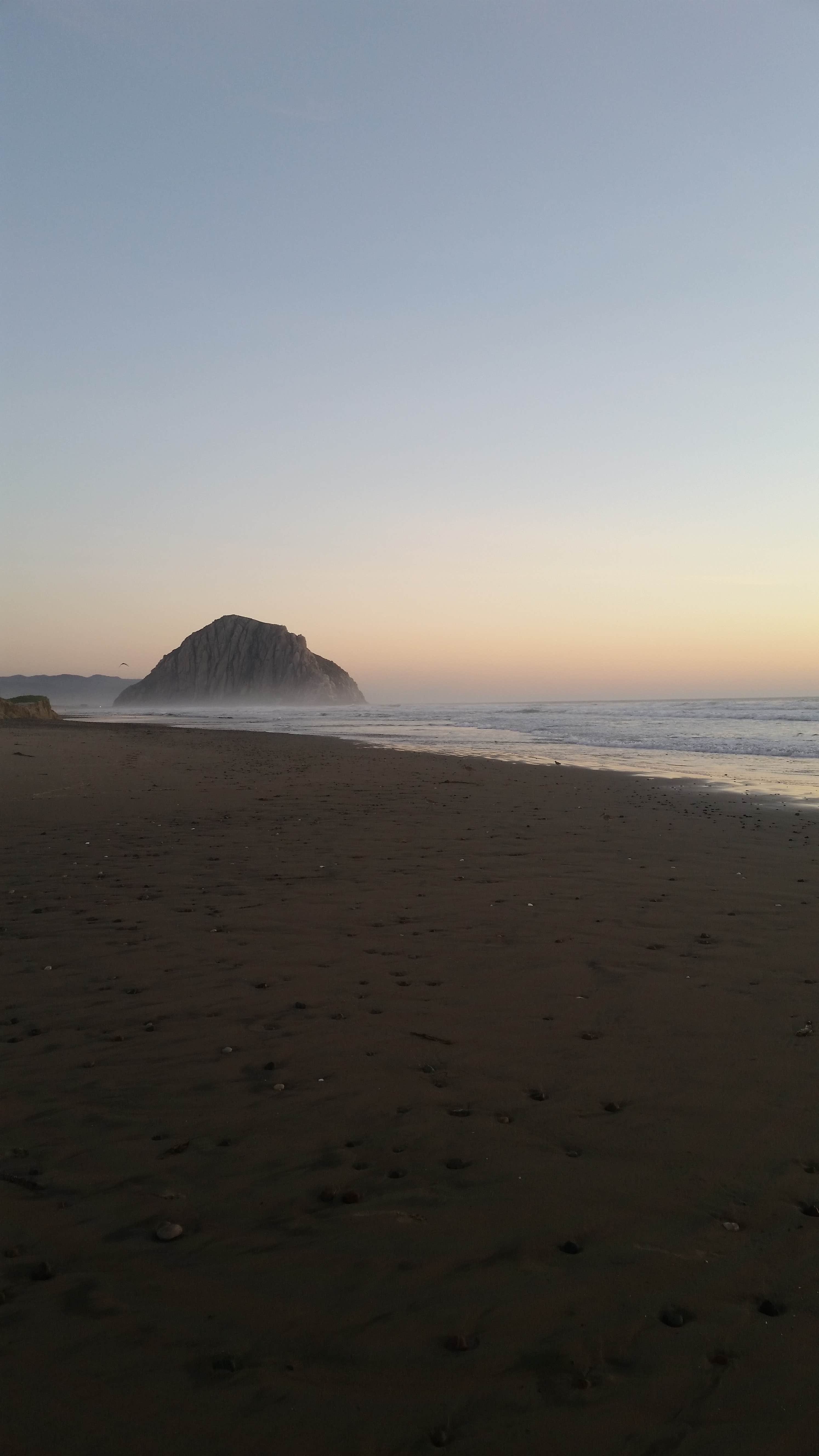Camper submitted image from Morro Bay State Park Campground - 2