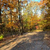 Review photo of Bennett Spring State Park Campground by Amy S., January 5, 2020